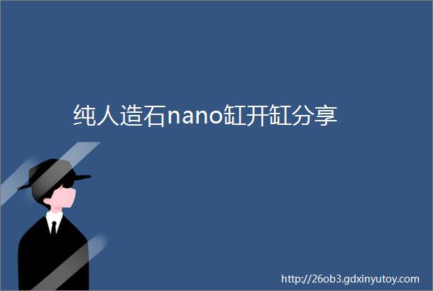 纯人造石nano缸开缸分享